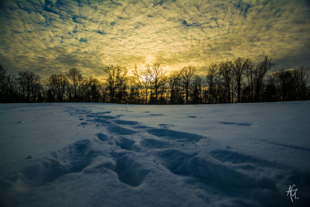 lumen peittämä pelto, jossa aurinko laskee puiden takana taustalla
