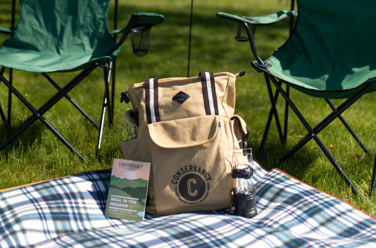 Meal in the Meadow picnic items