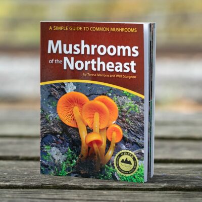 Mushrooms of the Northeast: A Simple Guide to Common Mushrooms ...