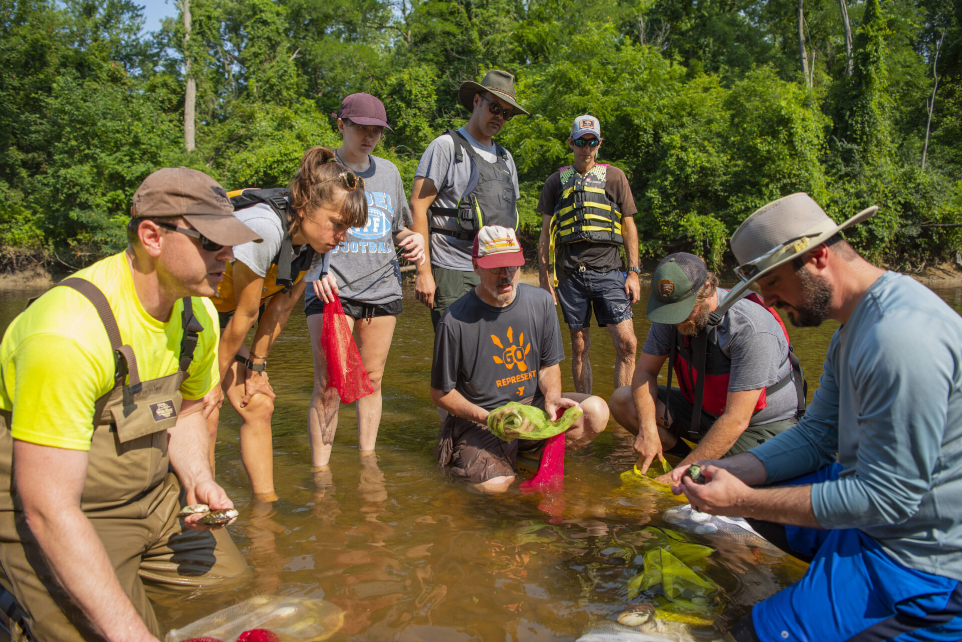 Strengthening the River: Reintroducing Mussels to the Lower Cuyahoga ...