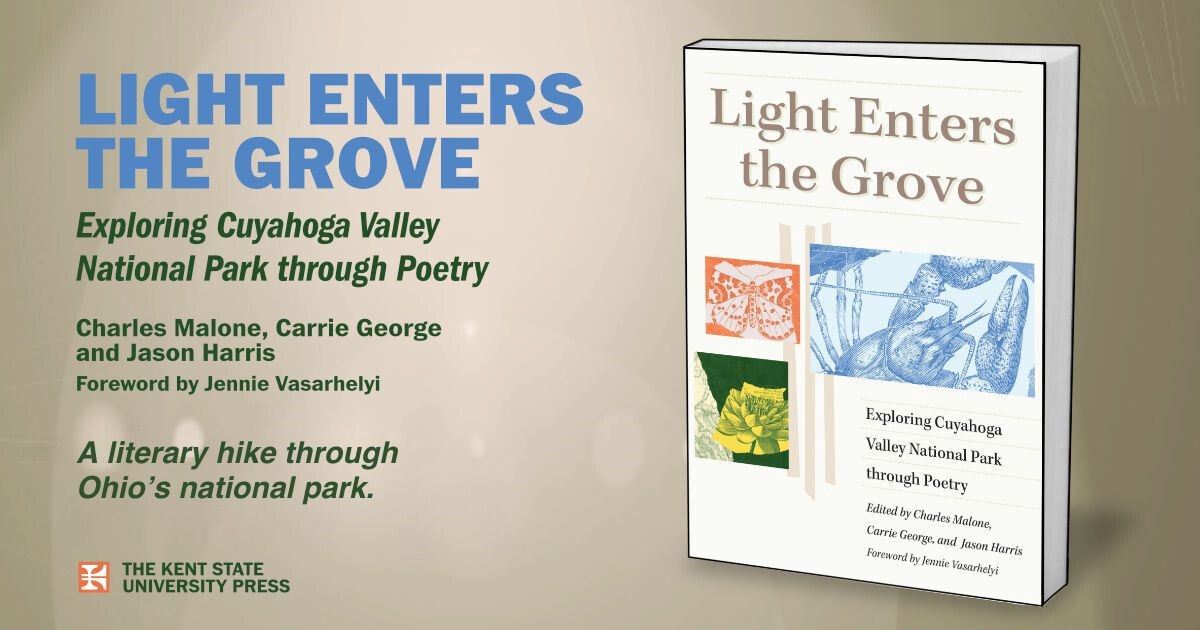 Light Enters the Grove Book Cover