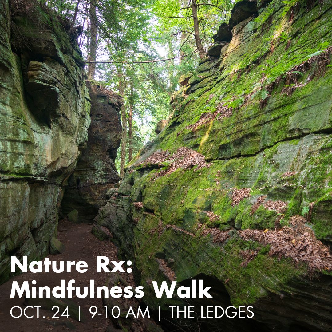 A photo of moss-covered rock formations in a forest. Text on the photo reads Nature Rx, Mindfulness Walk, October 24, 9 to 10 am, the Ledges.