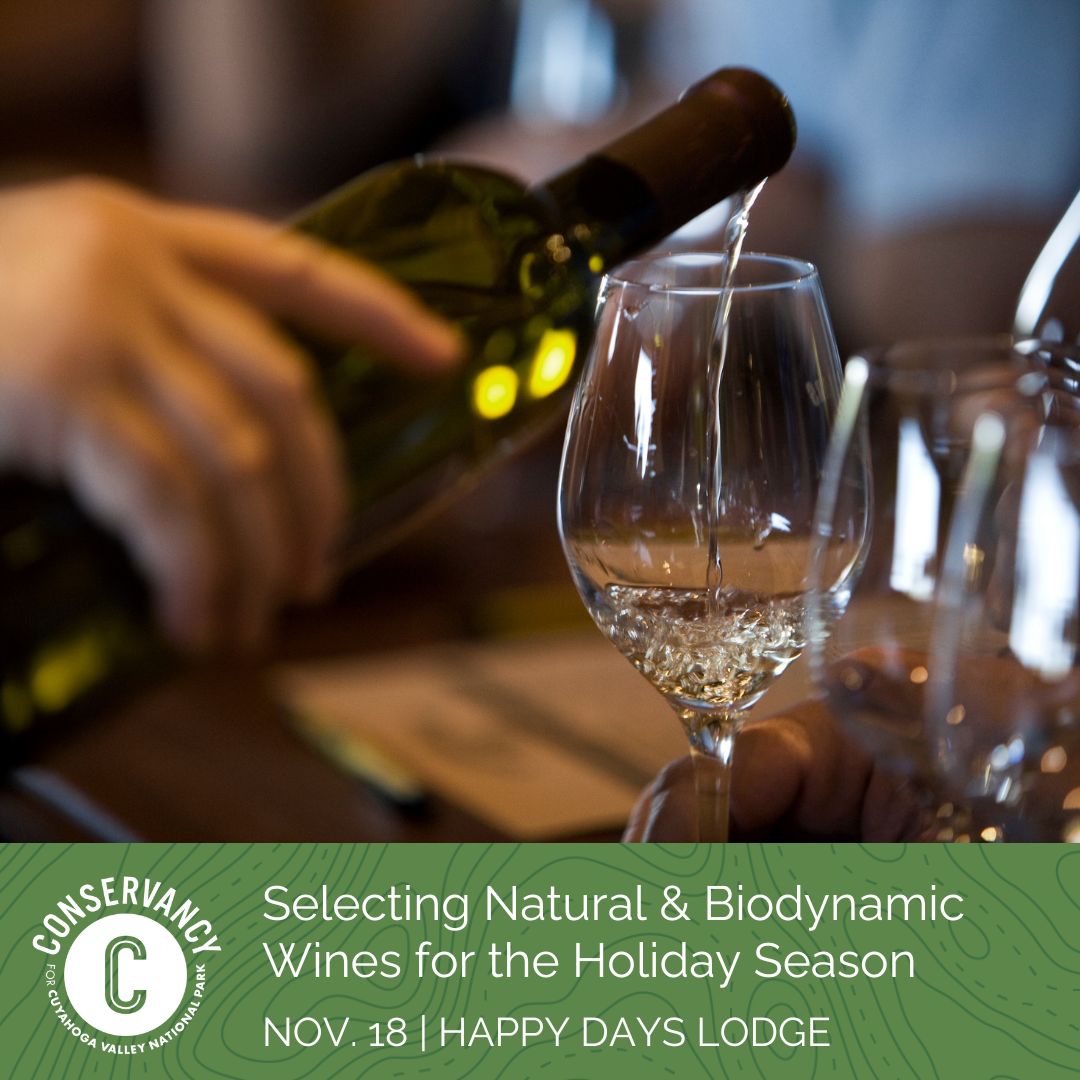 A graphic that includes an image of someone poring white wine into a glass and the words: Selecting Natural & Biodynamic Wines for the Holiday Season, November 18, Happy Days Lodge.