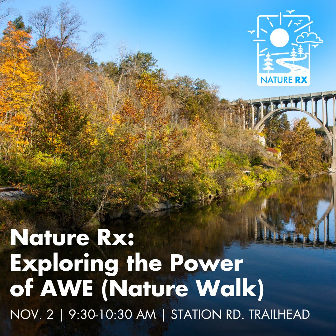 A photo of a river and bridge near trees with fall leaves. Words on the photo read: Nature Rx, Exploring the Power of Awe, Nature Walk, November 2, 9:30 to 10:30 AM, Station Road Trailhead.