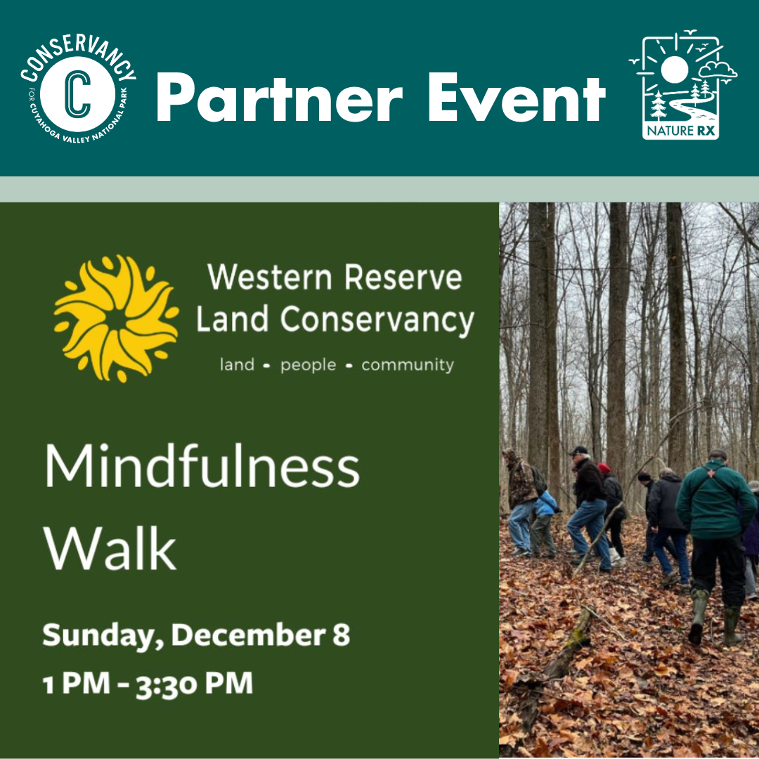 A graphic for the Western Reserve Land Conservancy's mindfulness walk on December 8 from 1 pm to 3:30 pm.