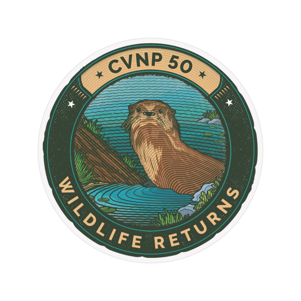 A graphic of an illustrated sticker that reads CVNP 50, Wildlife Returns. An illustration of an otter in water is included in the center.